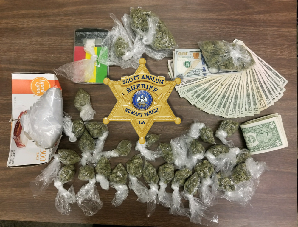 Narcotics Section Traffic Stop Investigation - bags of marijuana and cash