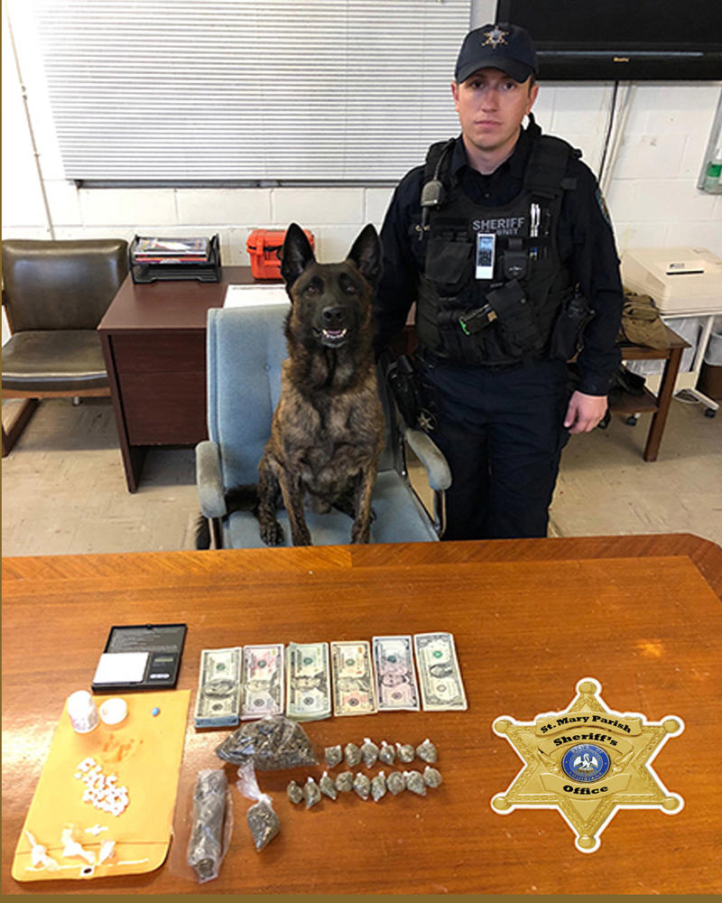 K9 Buddy and Deputy Veillion showing off a bust