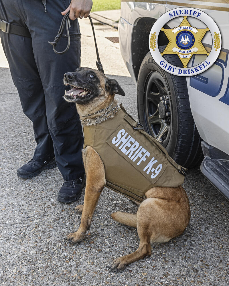 K9 Eyla New Vest 1.jpg