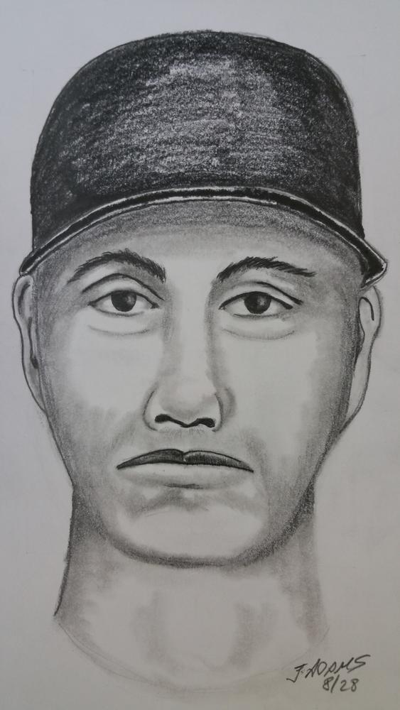 Shooting Suspect drawing